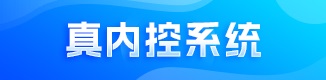 真内控系统